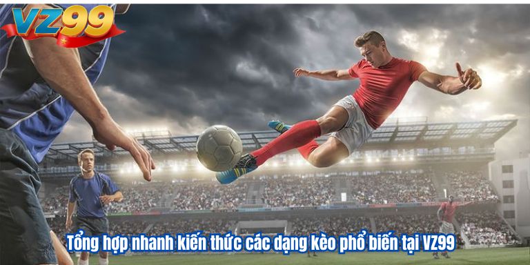 Các Loại Kèo Bóng Đá VZ99 Thông Dụng Tại Cá Độ Thể Thao 2 Tổng hợp nhanh kiến thức các dạng kèo phổ biến tại VZ99